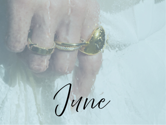 6月の新作コレクション