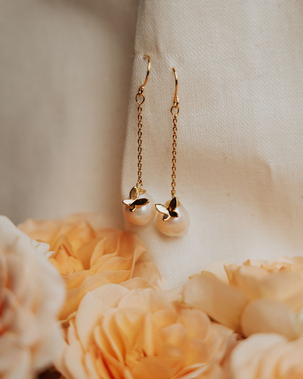 STELLAR HOLLYWOOD-ステラハリウッド