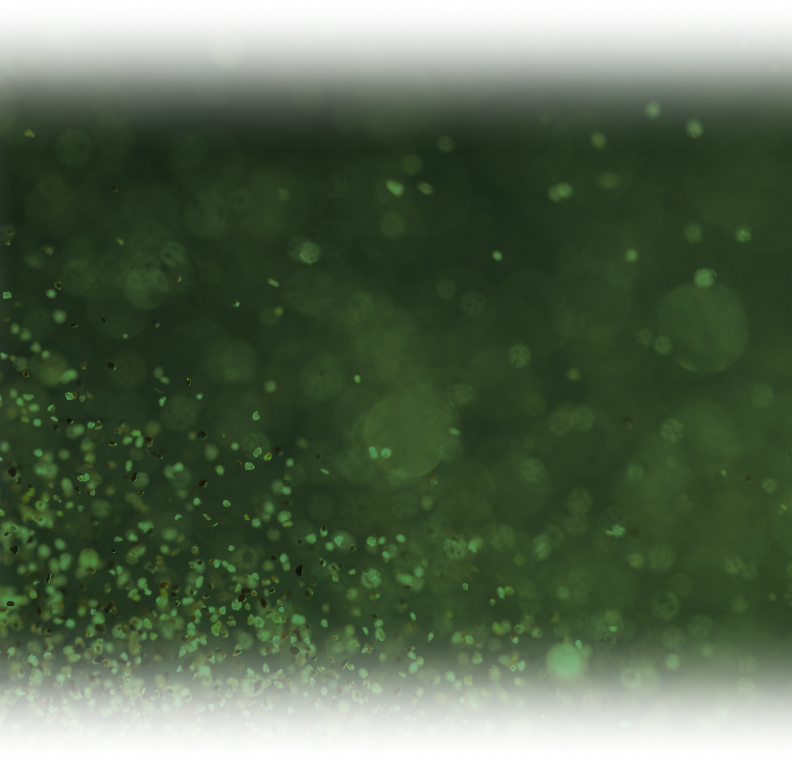 wicked_concept_bg_pc